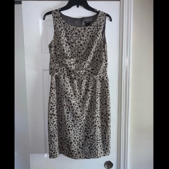 Ann Taylor Dresses & Skirts - NWOT, Ann Taylor Dress, Size 6